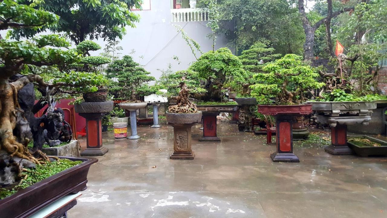 Quang Quang Garden Bonsai Homestay ニンビン エクステリア 写真